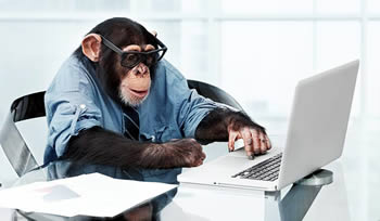 [Image: monkey_testing.jpg]